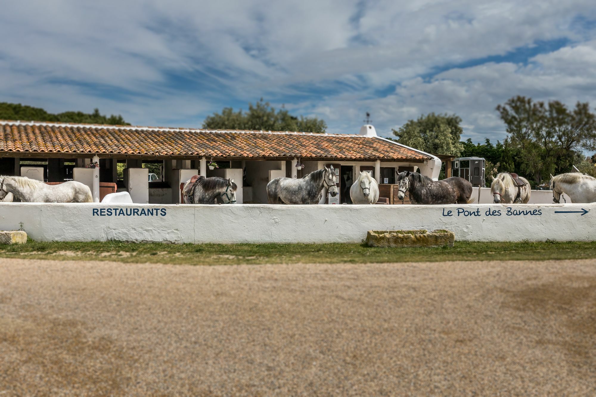 Les Bains Gardians Hotel Saintes-Maries-de-la-Mer Bagian luar foto